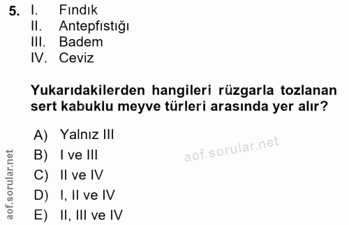 Soru 5