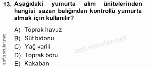 Soru 13
