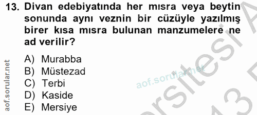 Soru 13