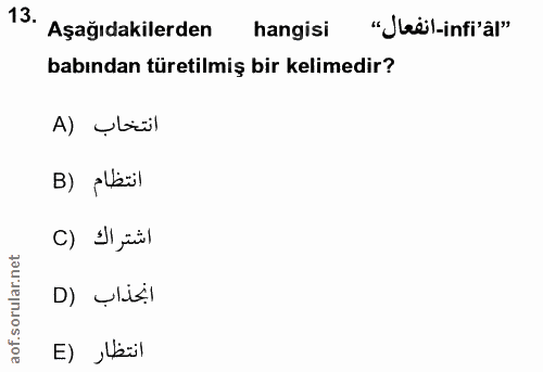 Soru 13