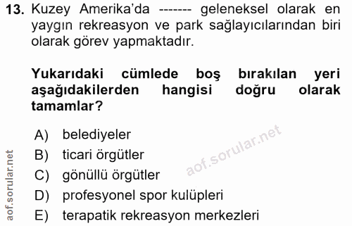 Soru 13