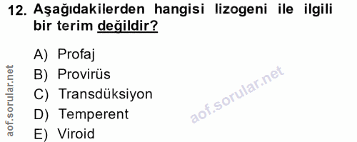 Soru 12