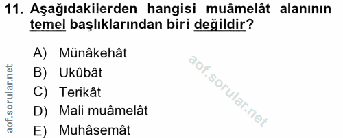 Soru 11