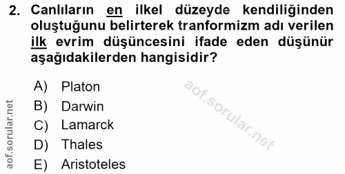 Soru 2