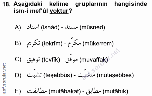 Soru 18