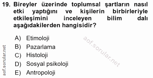 Soru 19