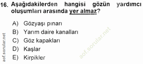Soru 16