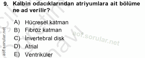 Soru 9
