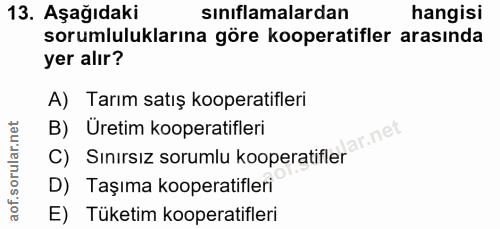 Soru 13