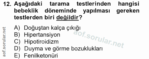 Soru 12
