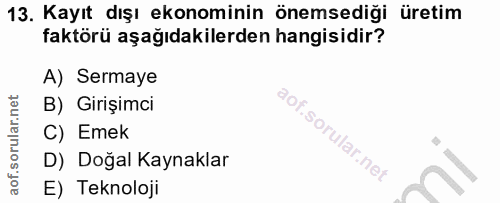 Soru 13