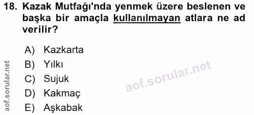 Soru 18
