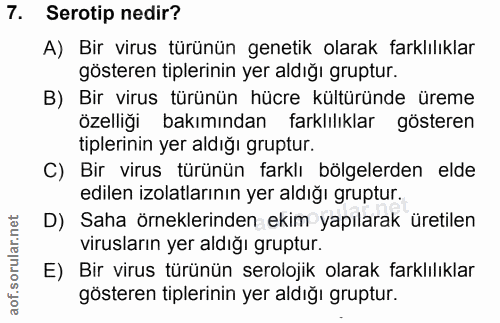 Soru 7