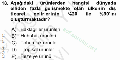 Soru 18
