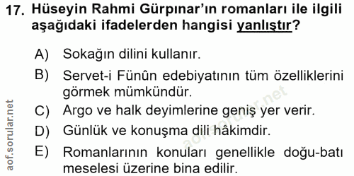 Soru 17