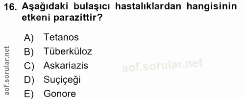 Soru 16
