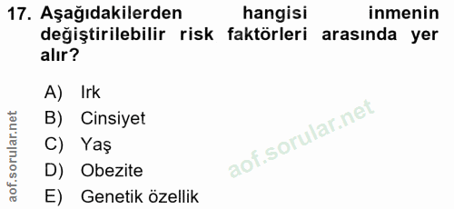 Soru 17