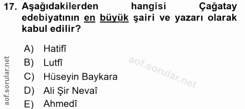 Soru 17
