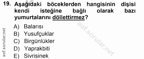 Soru 19