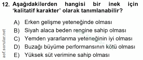 Soru 12
