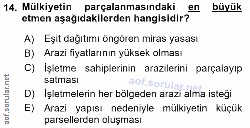 Soru 14