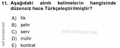 Soru 11