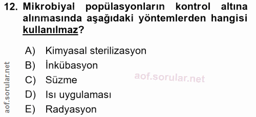 Soru 12