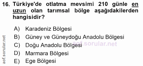 Soru 16