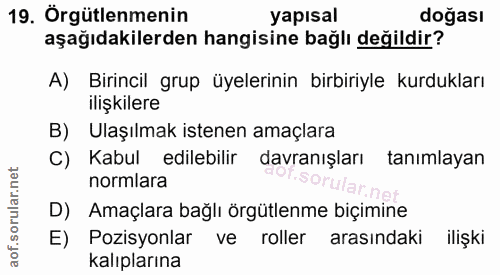 Soru 19