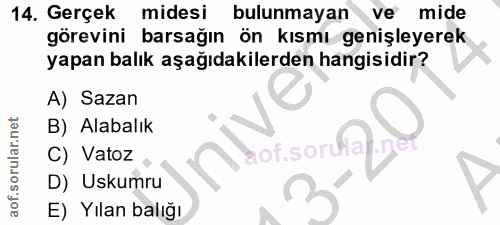 Soru 14