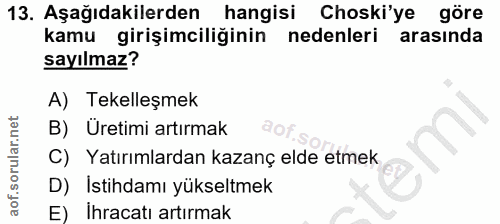 Soru 13