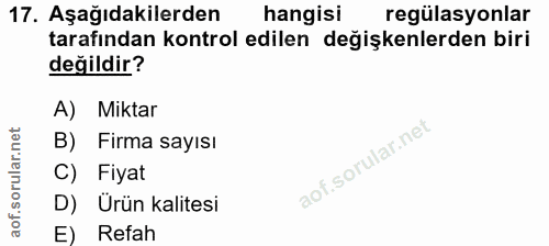 Soru 17