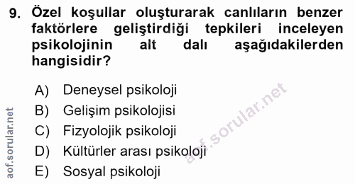 Soru 9