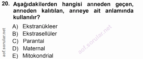 Soru 20