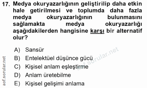 Soru 17