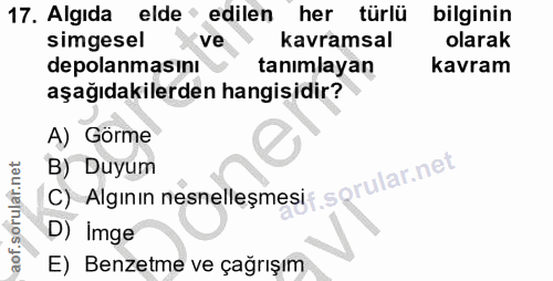 Soru 17