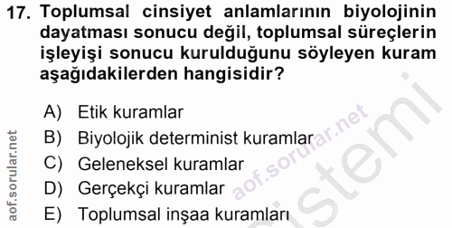 Soru 17