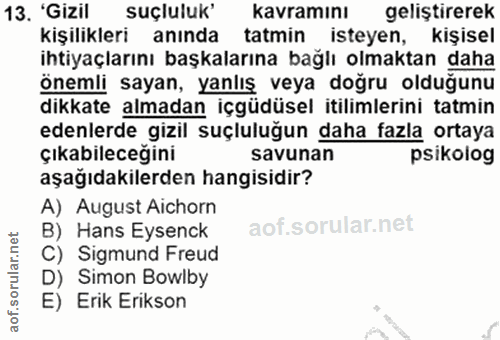 Soru 13