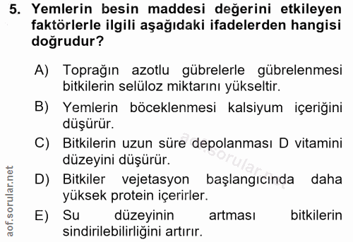 Soru 5