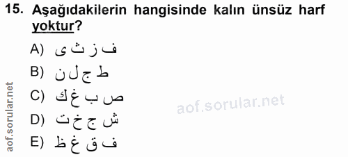 Soru 15