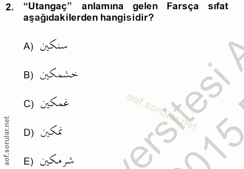 Soru 2