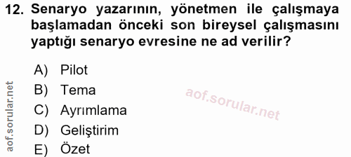 Soru 12