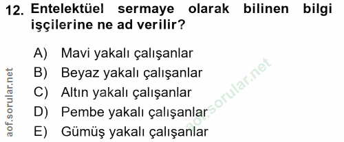 Soru 12