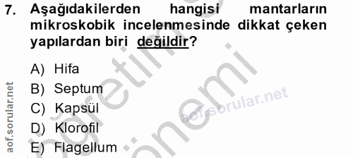 Soru 7