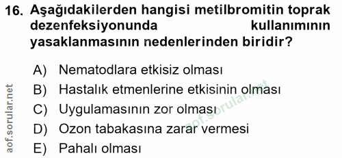Soru 16