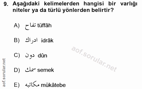 Soru 9