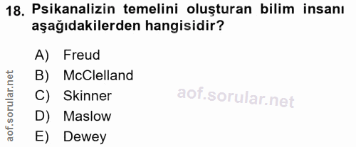 Soru 18