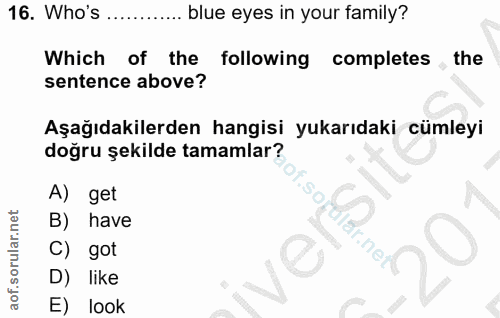 Soru 16