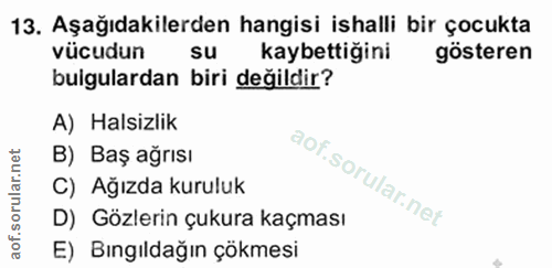 Soru 13