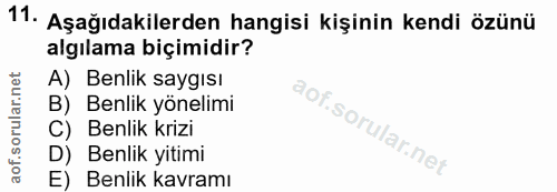 Soru 11